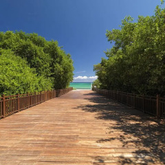 Отель Paradisus La Esmeralda Playa Del Carmen - Все включено фото 3