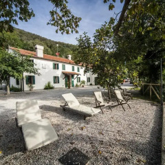 Отель Agriturismo Le Volpi Италия, Региональный парк Colli Euganei - отзывы, цены и фото номеров - забронировать отель Agriturismo Le Volpi онлайн