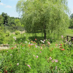 Отель Mirage Holiday Village Болгария, Сливен - отзывы, цены и фото номеров - забронировать отель Mirage Holiday Village онлайн приотельная территория