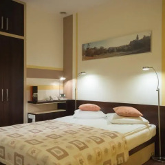 Centrum Dikul Hotel 3* Стандартный номер с двуспальной кроватью фото 4