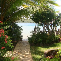 Отель Bora Bora Bungalove Французская Полинезия, Бора-Бора - отзывы, цены и фото номеров - забронировать отель Bora Bora Bungalove онлайн пляж