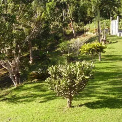 Отель Teresinajamaica Монастырь