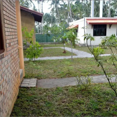 Отель Claremont Lanka Шри-Ланка, Ваддува - отзывы, цены и фото номеров - забронировать отель Claremont Lanka онлайн