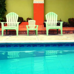 Отель The Green Frog Inn B&B