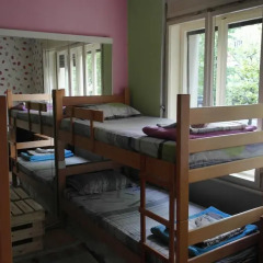 Dream Hostel детские мероприятия фото 2