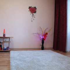 Гостиница Appartment On Chkalova интерьер отеля