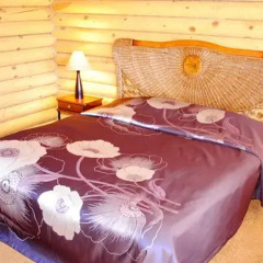 Mini Hotel Fregat Киев комната для гостей