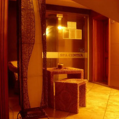 Отель Sofia Hotel Болгария, Банско - отзывы, цены и фото номеров - забронировать отель Sofia Hotel онлайн спа