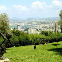 Dan Gardens Haifa Hotel Хайфа приотельная территория фото 2