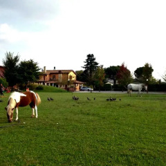 Отель Agriturismo Al Capitellon Италия, Скорце - отзывы, цены и фото номеров - забронировать отель Agriturismo Al Capitellon онлайн спортивное сооружение