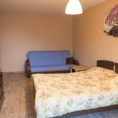 Апартаменты Druzhba Apartment комната для гостей фото 4