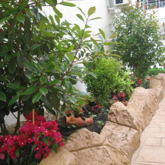 Sun City Hotel Солнечный берег фото 4