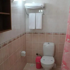 Gazipasa Hotel & Apartments 3* Стандартный номер с различными типами кроватей фото 9