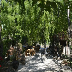 Kas Dogapark Турция, Патара - отзывы, цены и фото номеров - забронировать отель Kas Dogapark онлайн