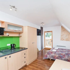 Отель Apartamenty Sun&Snow Kościelisko Residence Косцелиско в номере