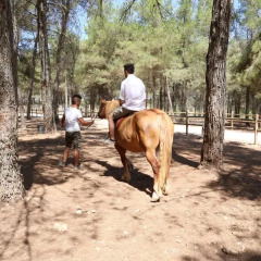 Отель Masseria Chinunno Альтамура приотельная территория