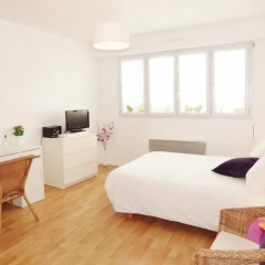Отель Studio Place Dupuy Франция, Тулуза - отзывы, цены и фото номеров - забронировать отель Studio Place Dupuy онлайн комната для гостей фото 4