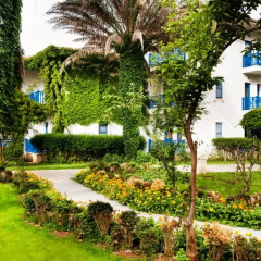 Belconti Resort Hotel 5* Стандартный номер с различными типами кроватей фото 8