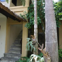 Отель Atta Kamaya Resort and Villas 4* Вилла с различными типами кроватей фото 36