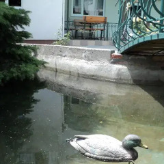 Гостиница Relax фото 4