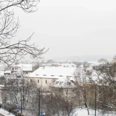 Апартаменты Hoffmeister Apartments балкон
