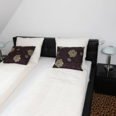 Апартаменты Swiss Star Apartments Center Стандартный номер с различными типами кроватей фото 2