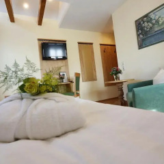 Отель Ringhotel Villa Moritz 3* Номер категории Эконом с двуспальной кроватью фото 7