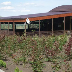 Отель Campsite Ozero Udachi Армавир гостиничный бар