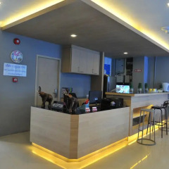 Lu Lu Hotel гостиничный бар