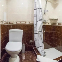Гостиница Колизей 3* Люкс с различными типами кроватей фото 12