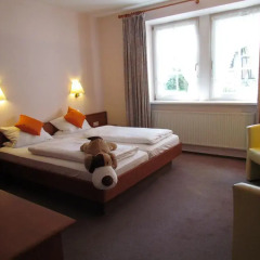 Ferien- und Reitsport Hotel Brunnenhof 3* Стандартный номер с различными типами кроватей