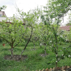 Отель Artush & Raisa B&B Армения, Гюмри - отзывы, цены и фото номеров - забронировать отель Artush & Raisa B&B онлайн фото 3