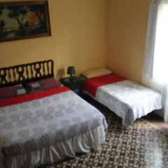 Отель B&B Comfort Стандартный номер с различными типами кроватей