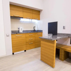 Апартаменты Pushkinskaya Apartments Стандартный номер фото 9