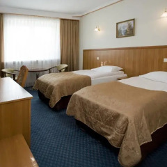 Hotel Ambasador Chojny 3* Стандартный номер с различными типами кроватей