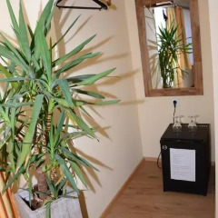 Отель Gasthaus Hinterbrühl 3* Люкс фото 8