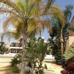 Отель Constantaras Apartments Кипр, Протарас - отзывы, цены и фото номеров - забронировать отель Constantaras Apartments онлайн пляж фото 2