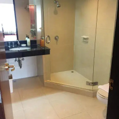 Indra Regent Hotel 4* Люкс с различными типами кроватей фото 5