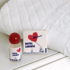 Hotel Ludwig Superior 3* Стандартный номер с различными типами кроватей фото 4
