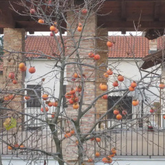 Отель Bed and Breakfast Cascina Beccaris Костиглиоле-д'Асти детские мероприятия