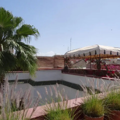 Отель Riad Dar Nouba Марокко, Марракеш - отзывы, цены и фото номеров - забронировать отель Riad Dar Nouba онлайн приотельная территория