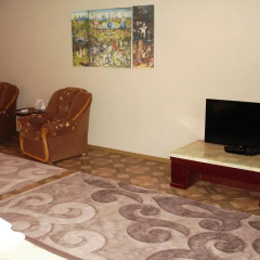 Апартаменты Chernivtsi Apartments удобства в номере
