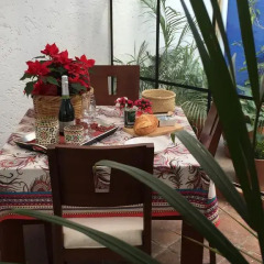 Отель Casa Molcajete Мексика, Мехико - отзывы, цены и фото номеров - забронировать отель Casa Molcajete онлайн питание фото 2