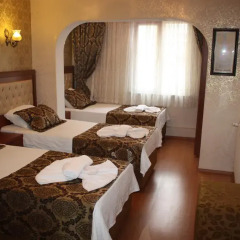 Big Apple Hostel & Hotel Номер Делюкс с различными типами кроватей фото 6