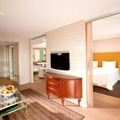 Opera Hotel 4* Президентский люкс с различными типами кроватей фото 5