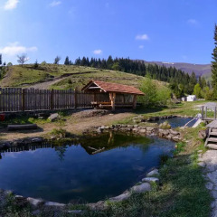 Гостиница Domik v Gorakh Guest House Украина, Поляна - отзывы, цены и фото номеров - забронировать гостиницу Domik v Gorakh Guest House онлайн бассейн