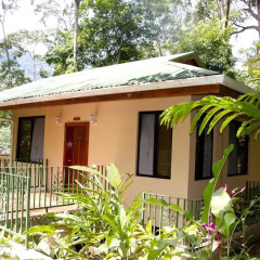 Отель Villas Pico Bonito 3* Коттедж с различными типами кроватей фото 25