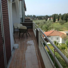 Olympic Bibis Hotel 2* Апартаменты с различными типами кроватей фото 5