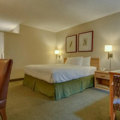 Отель Vagabond Inn Los Angeles at USC 2* Номер Бизнес с различными типами кроватей фото 6