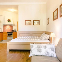 Апартаменты Stone Steps Apartments Студия с различными типами кроватей фото 18